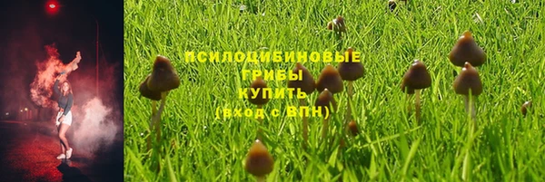 сатива Арсеньев