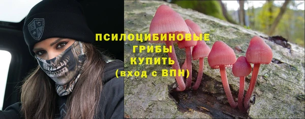 сатива Арсеньев