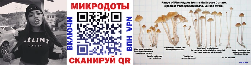 Галлюциногенные грибы Cubensis  купить наркотики сайты  Ахтубинск 