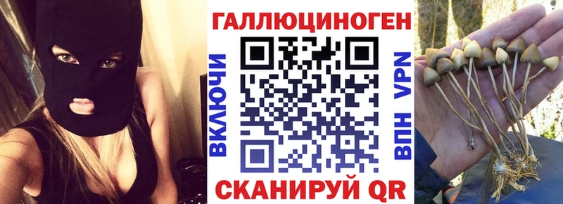 Галлюциногенные грибы Cubensis Ахтубинск