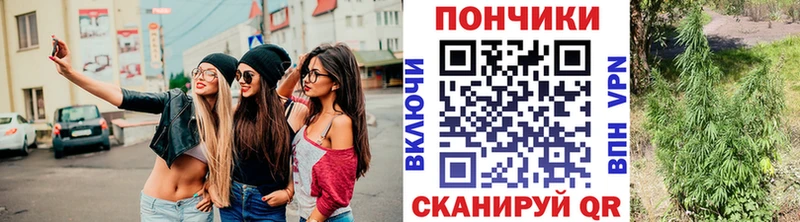 магазин продажи наркотиков  Ахтубинск  Каннабис ГИДРОПОН 